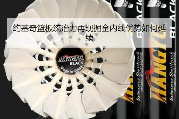 约基奇篮板统治力再现掘金内线优势如何延续