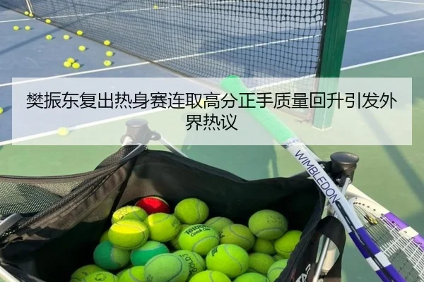 樊振东复出热身赛连取高分正手质量回升引发外界热议